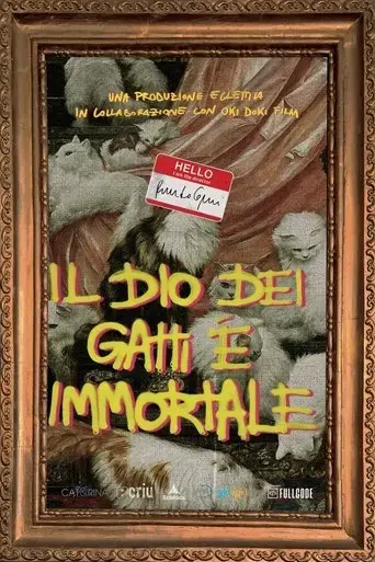 il-dio-dei-gatti-e-immortale-2022