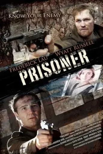 prisoner-2015