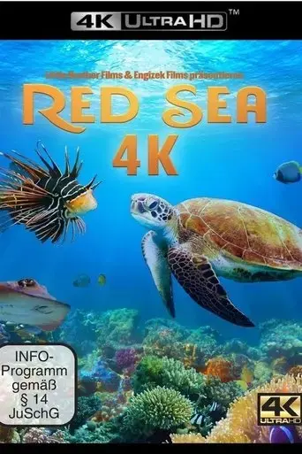 red-sea-4k-2016