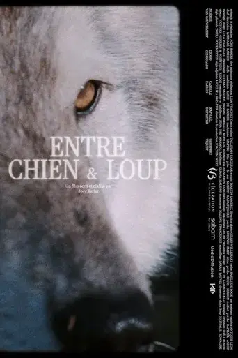 entre-chien-loup-2025