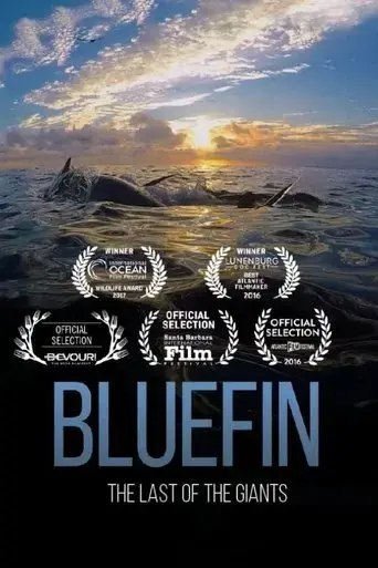 bluefin-2017