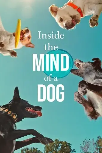 inside-the-mind-of-a-dog-2024