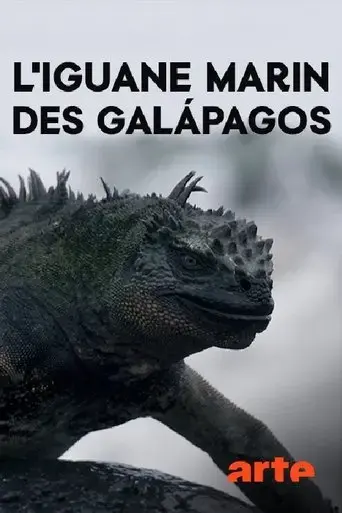 drachenratsel-die-verschwundenen-meerechsen-von-galapagos-2018