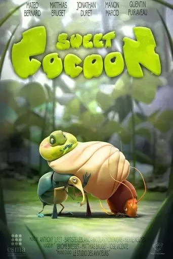 sweet-cocoon-2014