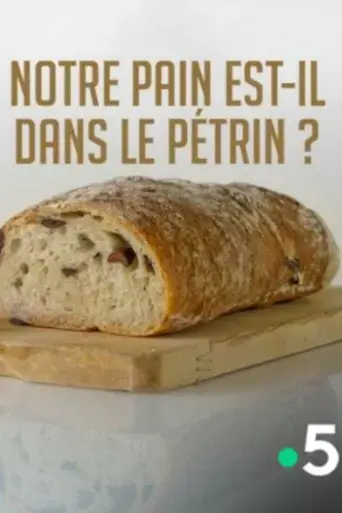 notre-pain-est-il-dans-le-petrin-2017