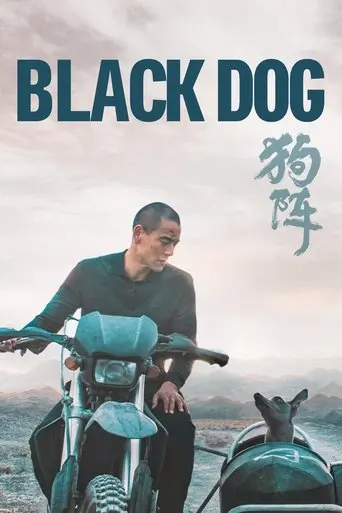 black-dog-2024