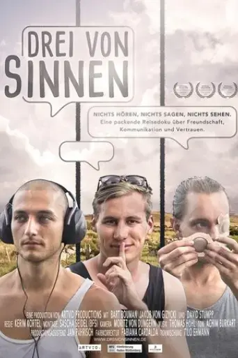 drei-von-sinnen-2017