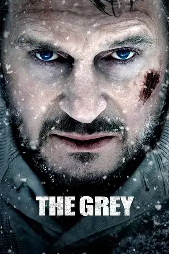 the-grey-2012
