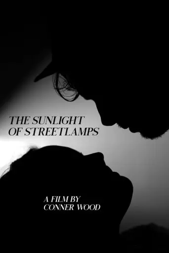 the-sunlight-of-streetlamps-2020