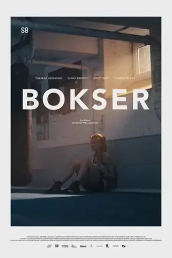 bokser-2017