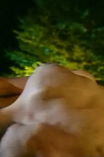 Heads or Tails (1990)
