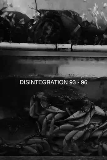 disintegration-93-96-2017