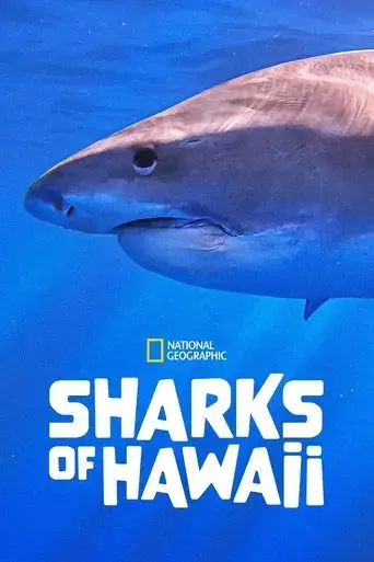 sharks-of-hawaii-2021