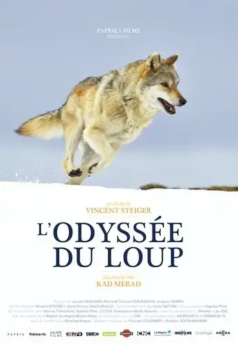 l-odyssee-du-loup-2019