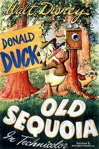 old-sequoia-1945