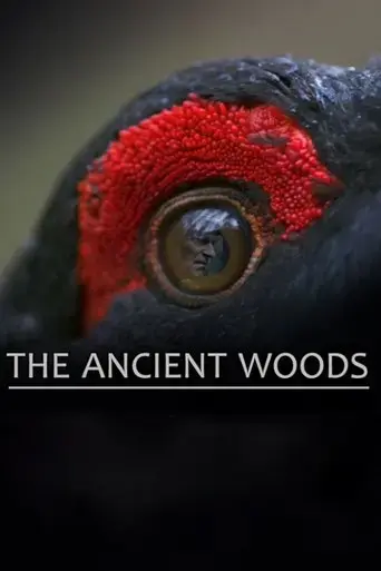 the-ancient-woods-2018