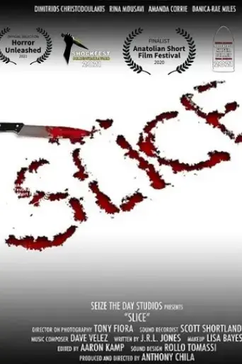 slice-2020