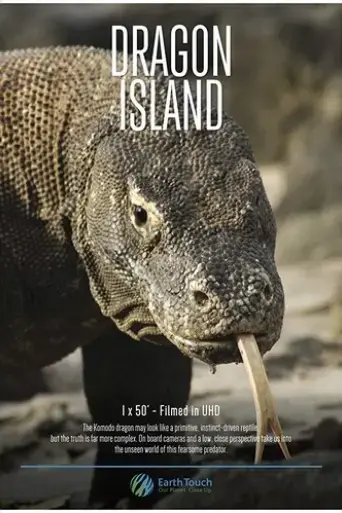 dragon-island-2016