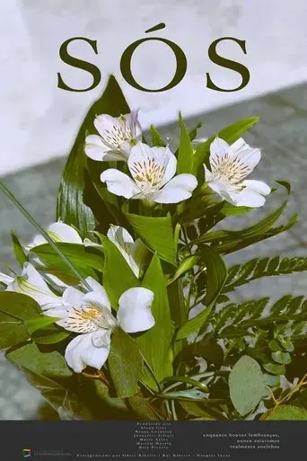 sos-2025