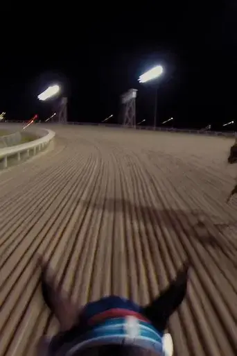 9-races-2017