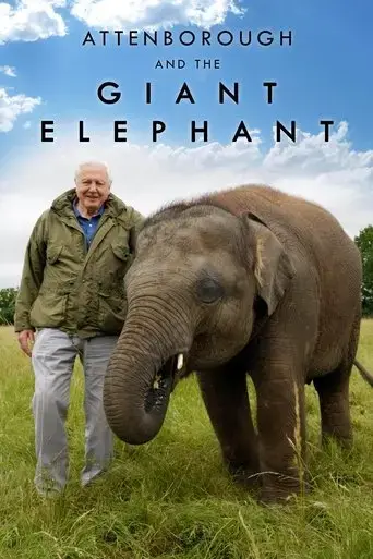 attenborough-and-the-giant-elephant-2017