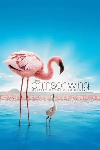 the-crimson-wing-mystery-of-the-flamingos-2008