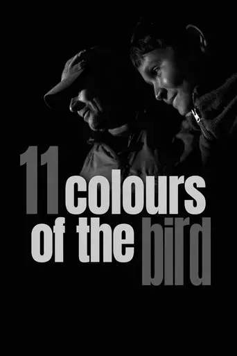 11-colours-of-the-bird-2020