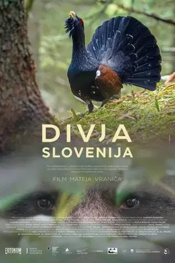divja-slovenija-2021