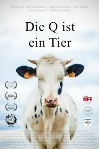 die-q-ist-ein-tier-2024