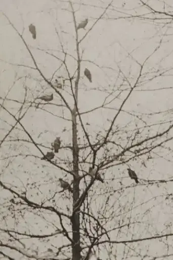 aviary-1955