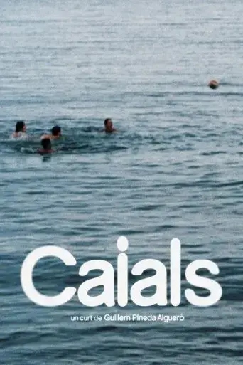 caials-2024