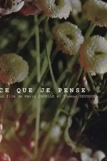 ce-que-je-pense-2017