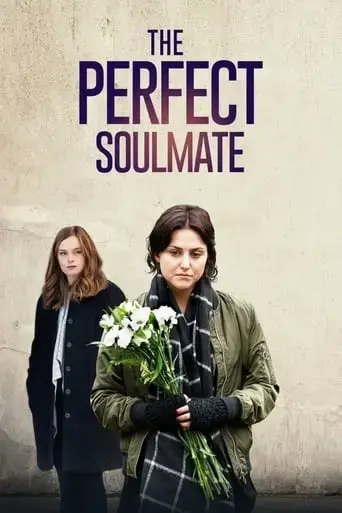 the-perfect-soulmate-2017