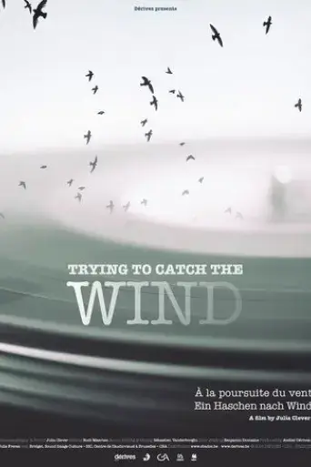trying-to-catch-the-wind-2018