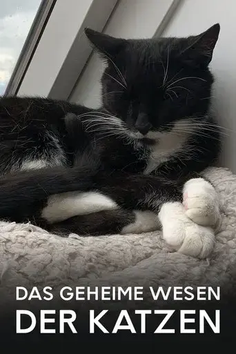 das-geheime-wesen-der-katzen-2021