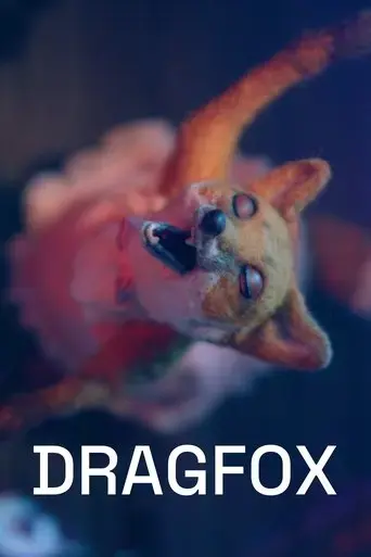 dragfox-2024