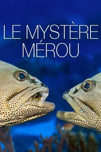 le-mystere-merou-2015