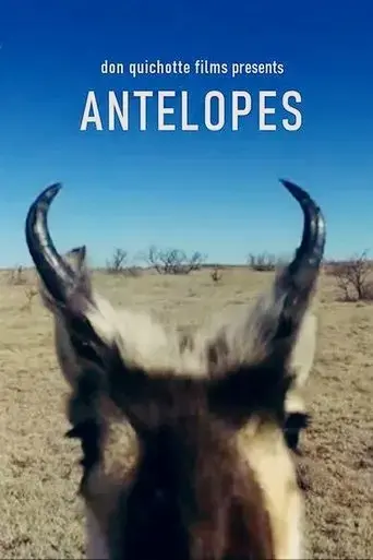 antelopes-2020