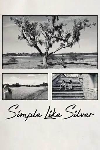 simple-like-silver-2021