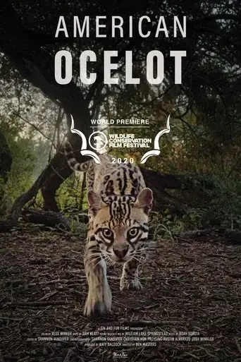 american-ocelot-2021