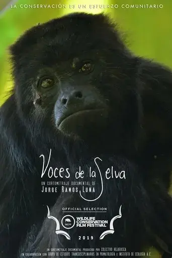 rainforest-voices-2019