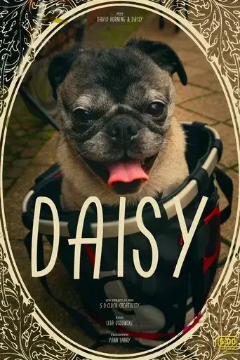 daisy-2016