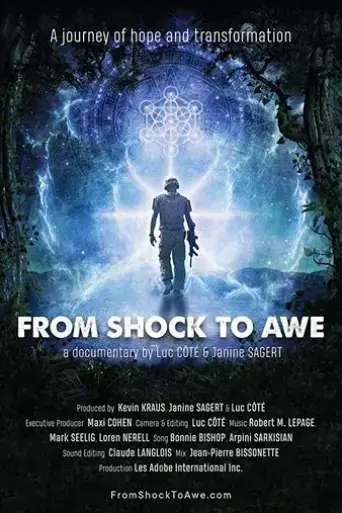 from-shock-to-awe-2018