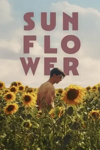 sunflower-2024