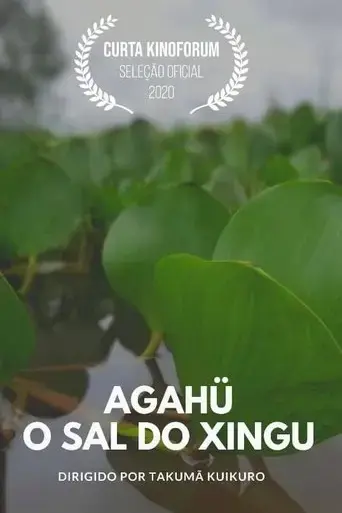 agahu-o-sal-do-xingu-2020