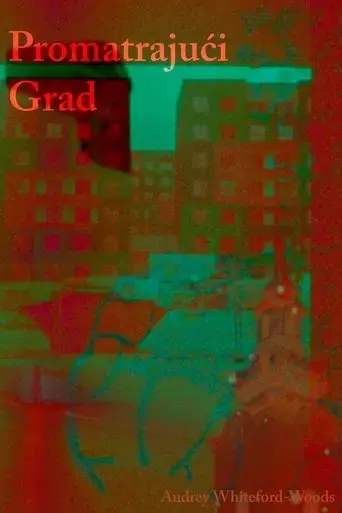 city-in-observation-2025