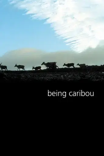 being-caribou-2005
