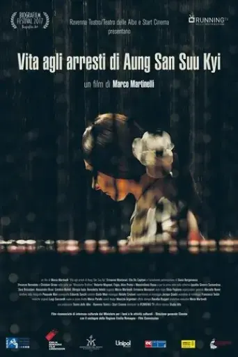 vita-agli-arresti-di-aung-san-suu-kyi-2017