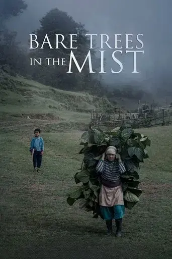 bare-trees-in-the-mist-2019