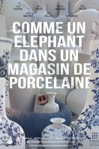 comme-un-elephant-dans-un-magasin-de-porcelaine-2017